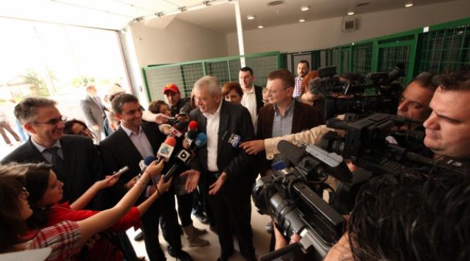 primii caini comunitari la dogtown