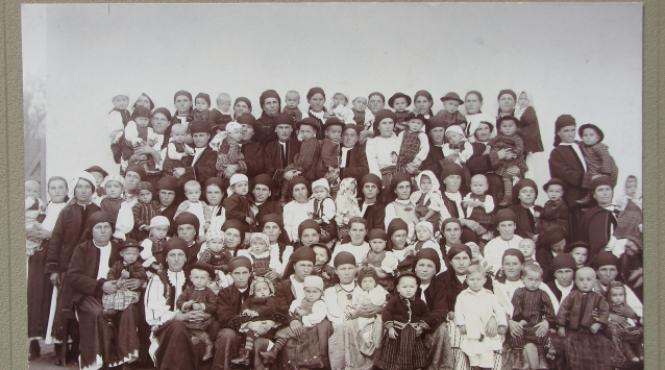 copilaria de odinioara la tara