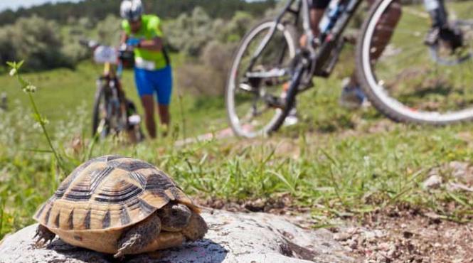 2 mai si vama veche au manifestat pentru natura prin triatlon