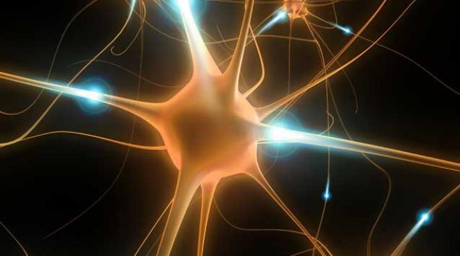 cum se pierde memoria