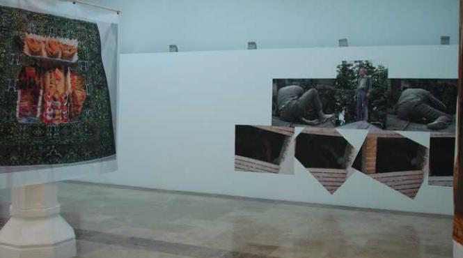 artistul vizual ion grigorescu la photoespana 2012