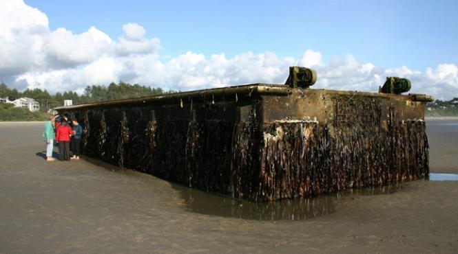 un ponton plutitor luat de tsunami ul din japonia in martie 2011 a esuat pe o plaja din sua