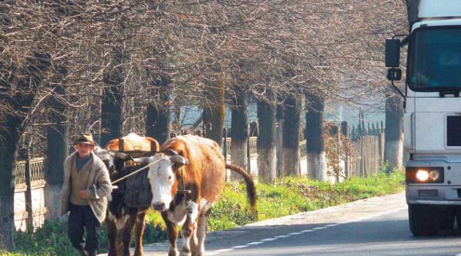 mortalul turnir al frustratilor