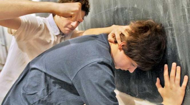 reguli noi in educatie cazierul scolar directorii obligati sa raporteze online violenta