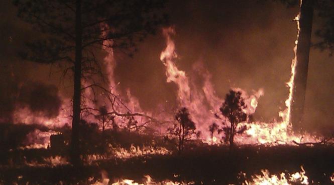 a incendiat o padure incercand sa trimita semnale de fum