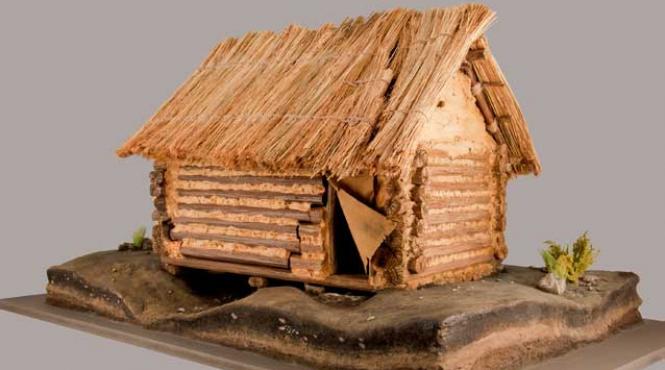 atinge istoria simte viata de acum 6 000 de ani