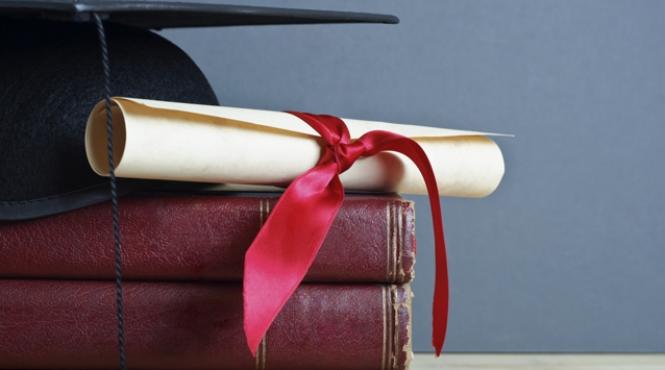 contestatie la adresa premierului ori privind sistemul de organizare a studiilor doctorale