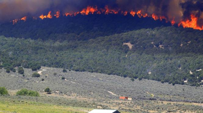 incendiul de padure din harghita continua sa se extinda afectand intre 60 si 100 de hectare