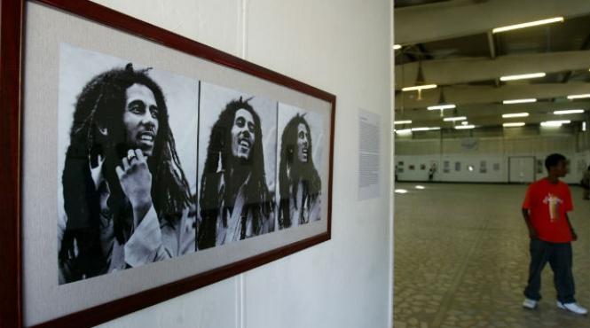 o specie de crustacee a fost numita dupa bob marley