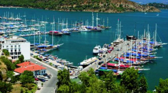 licia spectacolul de pe coasta de turcoaz