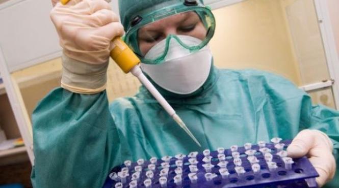 cercetatorii spanioli au reusit sa creeze neuroni din celule ale cordonului ombilical