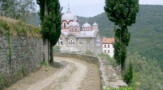 ilie vulturul profet