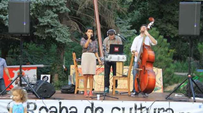 la roaba de cultura e sambata in fiecare zi