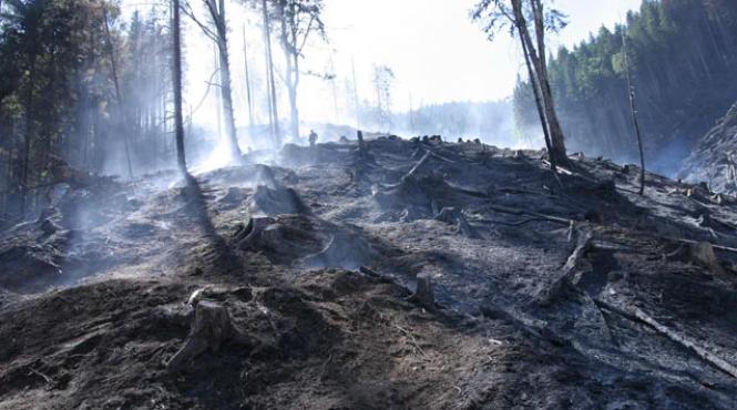 scaderea debitelor pe dunare si incendiile din bucegi baga in sedinta comitetul national pentru situatii de urgenta