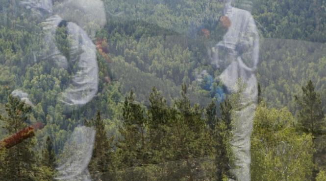 248 de embrioni umani gasiti intr o padure din rusia