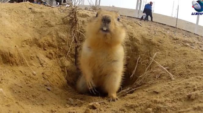 video amuzant un popandau in fata unei camere de supraveghere inainte de lansarea unei rachete