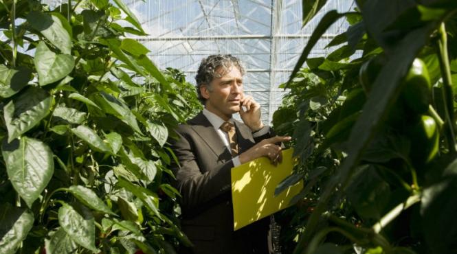 4 miliarde de euro pentru agricultori