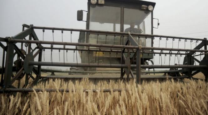 rezervele de alimente la nivel global vor scadea pentru al treilea an consecutiv din cauza secetei