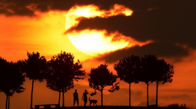 17 august 2012 imaginile zilei