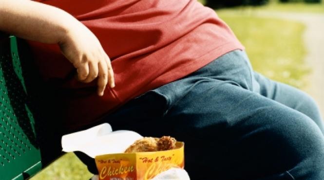 obezitatea afecteaza creierul