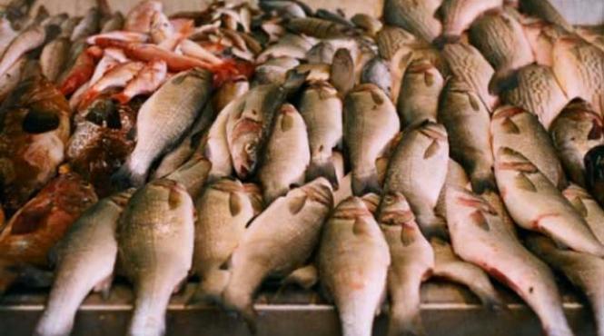 prima piata de peste din capitala in sectorul 6