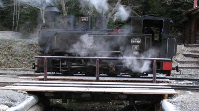 calea ferata forestiera mocanita ultima din europa