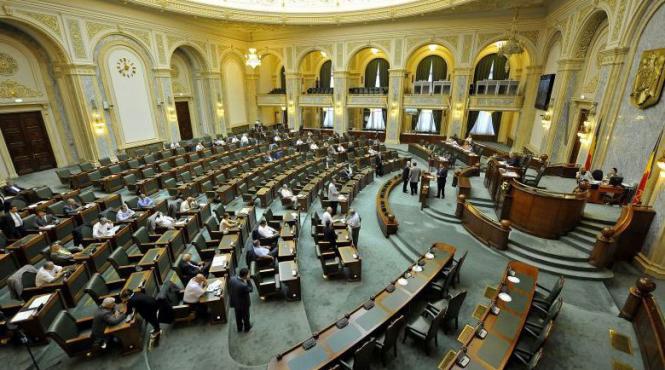 senatul si a votat conducerea berceanu filip rusanu si chirvasuta vicepresedinti