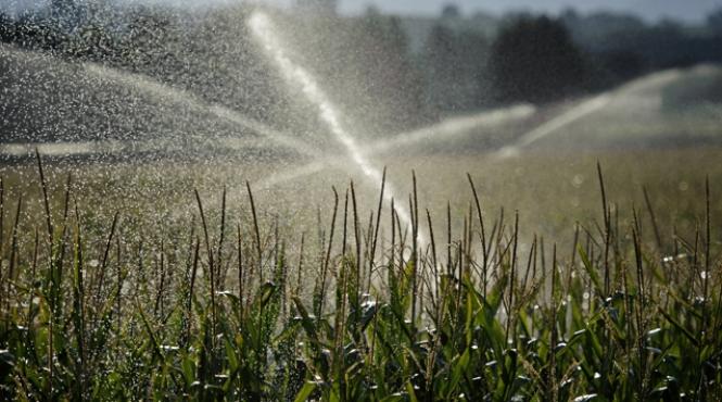 ministrul agriculturii cere sprijinul investitorilor chinezi pentru refacerea sistemului de irigatii din romania