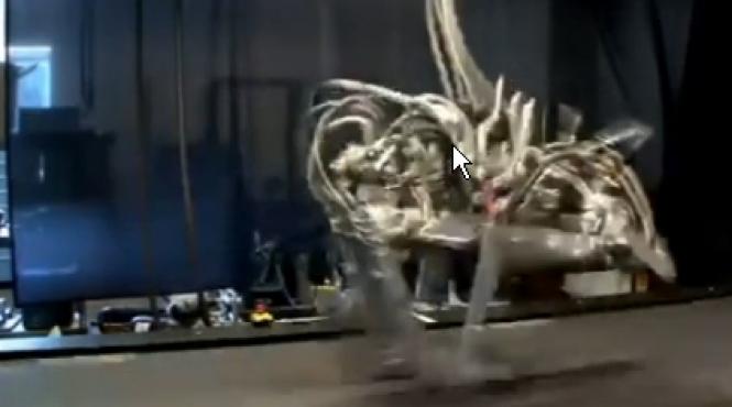 recordul de viteza stabilit de usain bolt a fost depasit sprinterul jamaican poate fi invins de un robot video