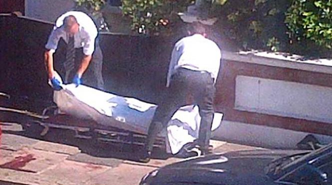 pasager clandestin picat din cer intr un cartier londonez