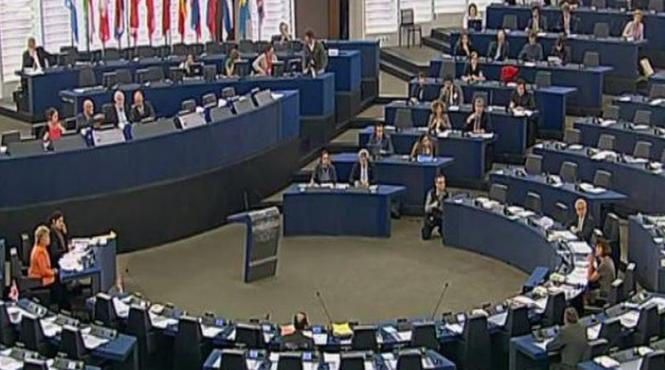 infruntare swoboda reding pe tema romaniei in parlamentul european