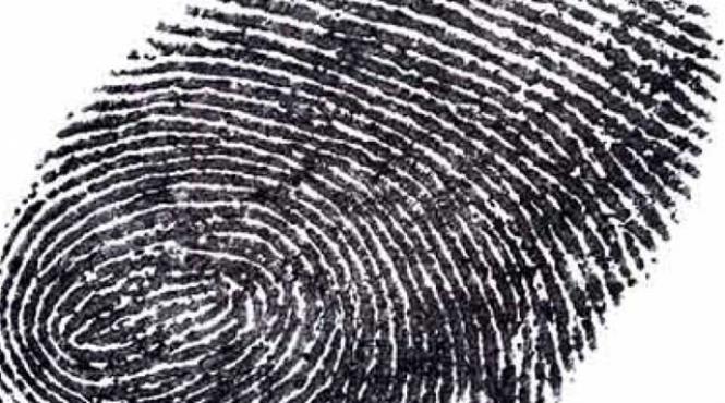 dupa trei luni de stat pe bara sistemul imagetrak al politiei romane a fost repornit