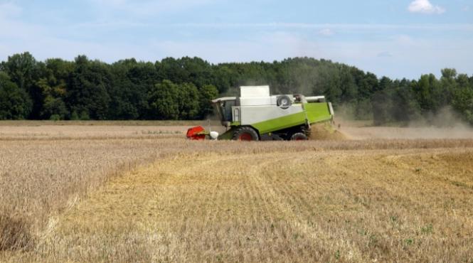 cele 4 motive pentru care omenirea risca o criza a alimentelor