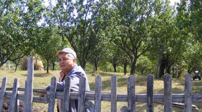 noi crestem ursii si bogatasii profita