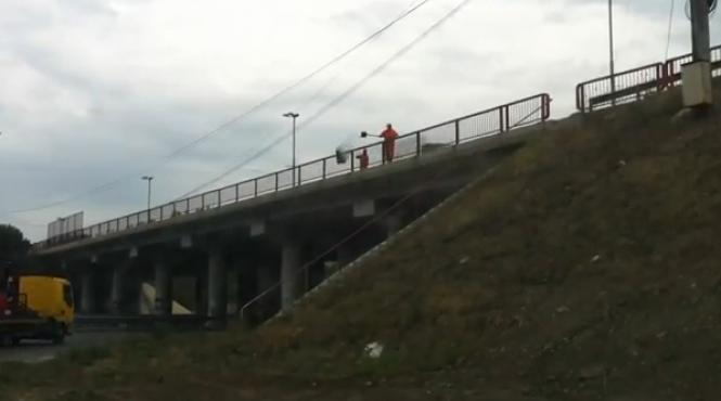 cum curata dorel soseaua video