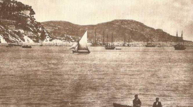 jurnal de grecie albastra