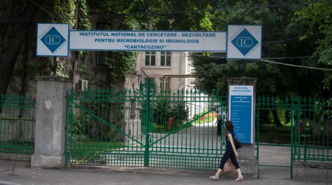 culisele dezastrului de la institutul cantacuzino