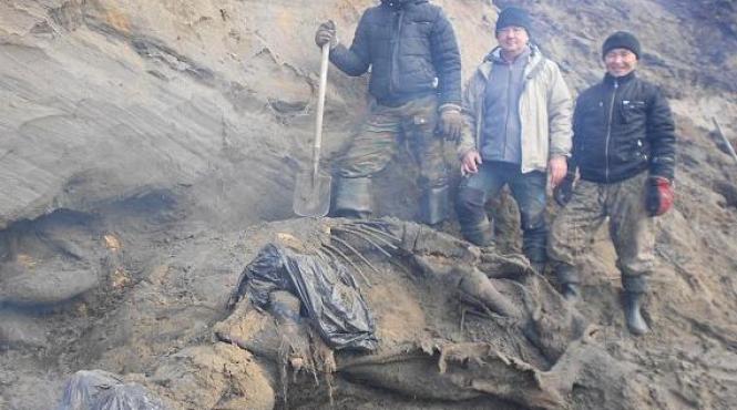 descoperire incredibila rusia baiat mamut intact vechi 30 000 de ani