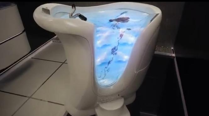 ultimul racnet in materie de fitness bicileta acvatica