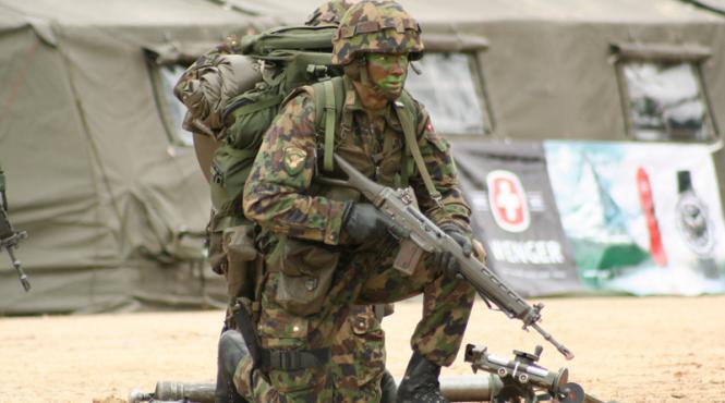 armata elvetiana scenariu sinistru criza economica