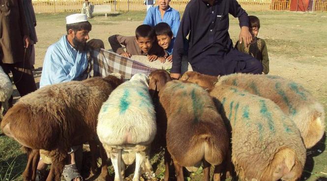 nato ucide patru copii afganistan