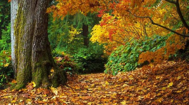 vesti bune de la meteorologi vremea se incalzeste incepand de miercuri