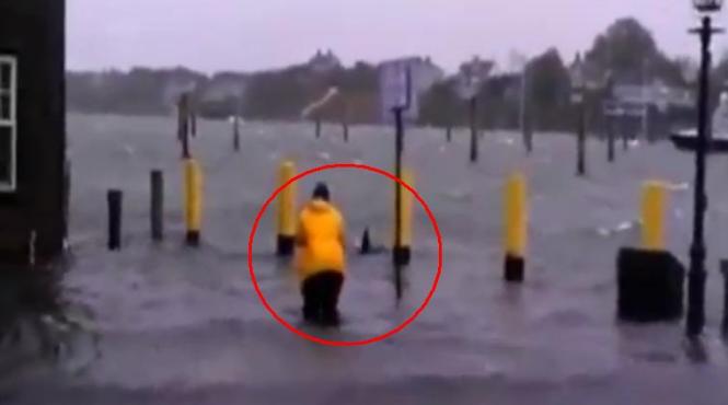 incredibil rechini pe strazile din new york adevar sau haz de necaz video