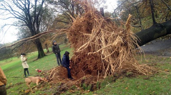 bilant dezastruos sua uraganul sandy 50 de morti sute de mii de evacuati 8 milioane de oameni in bezna