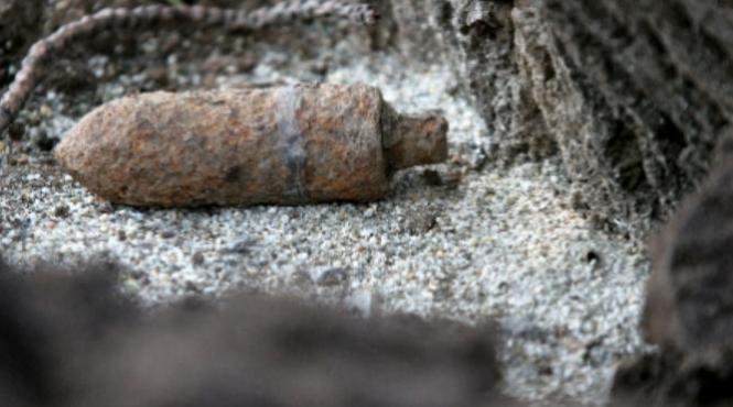 proiectile razboi culegatori ciuperci