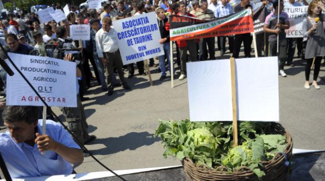 peste 10 000 de agricultori i au anun at prezen a la mitingul de maine din bucure ti
