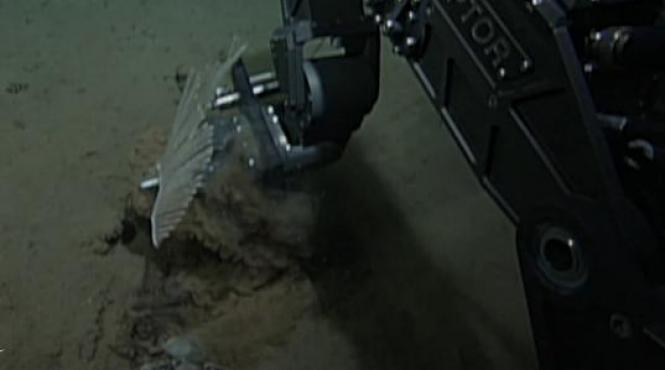 descoperire uluitoare fundul oceanului trei kilometri adancime