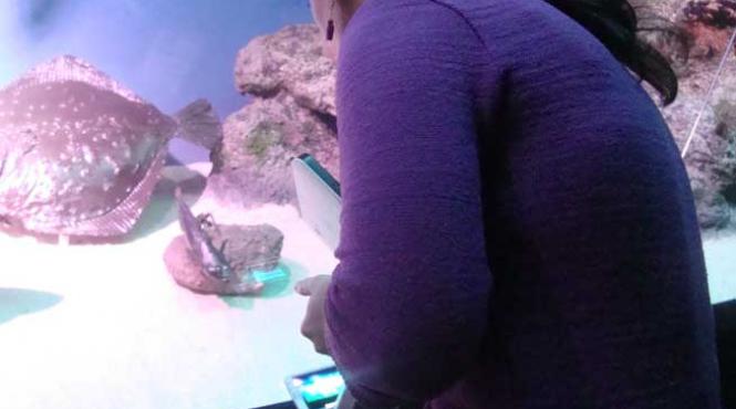 cu smartphone ul la muzeu