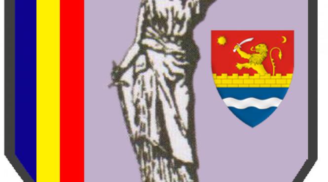 alegeri aranjate la baroul timi avoca ii timi oreni repeta scenariul pepinierei de notari