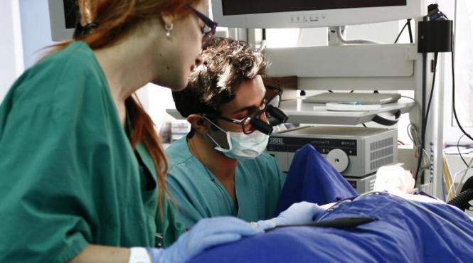 cum pot castiga medicii romani 3 000 de dolari pe luna in israel